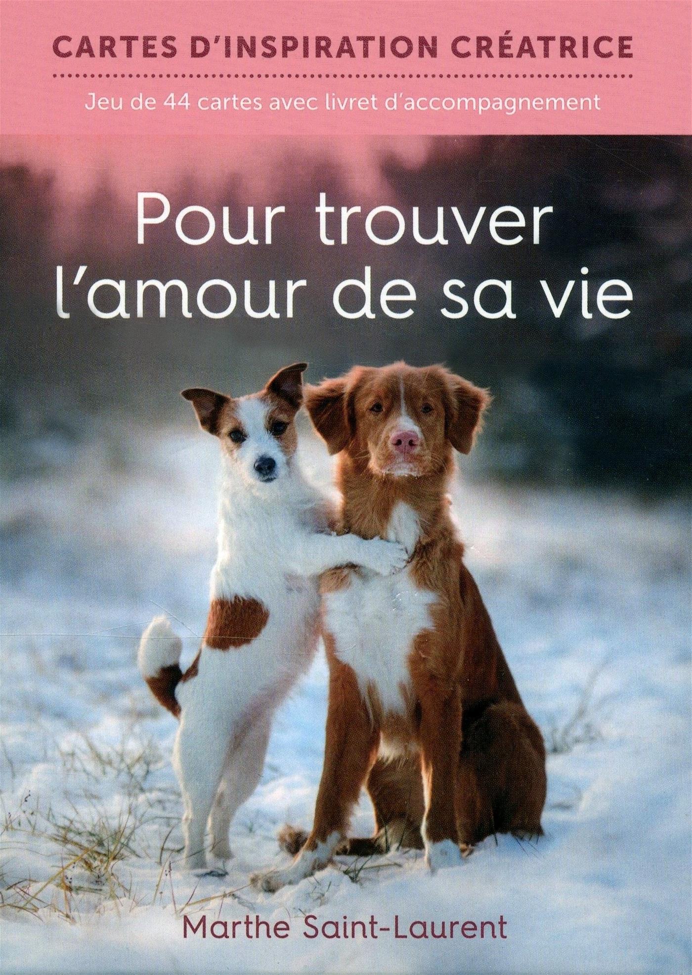 Couverture du livre de Pour trouver l'amour de sa vie : jeu de 44 cartes avec livret d'accompagnement - papier format