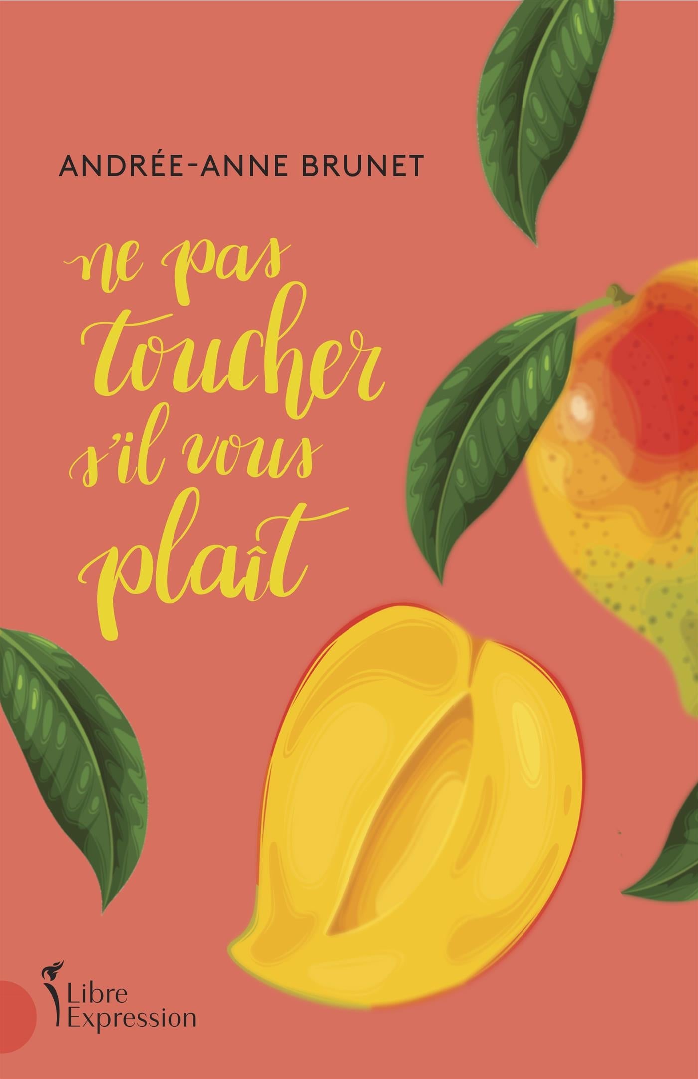 Couverture du livre de Ne pas toucher s'il vous plaît - papier format