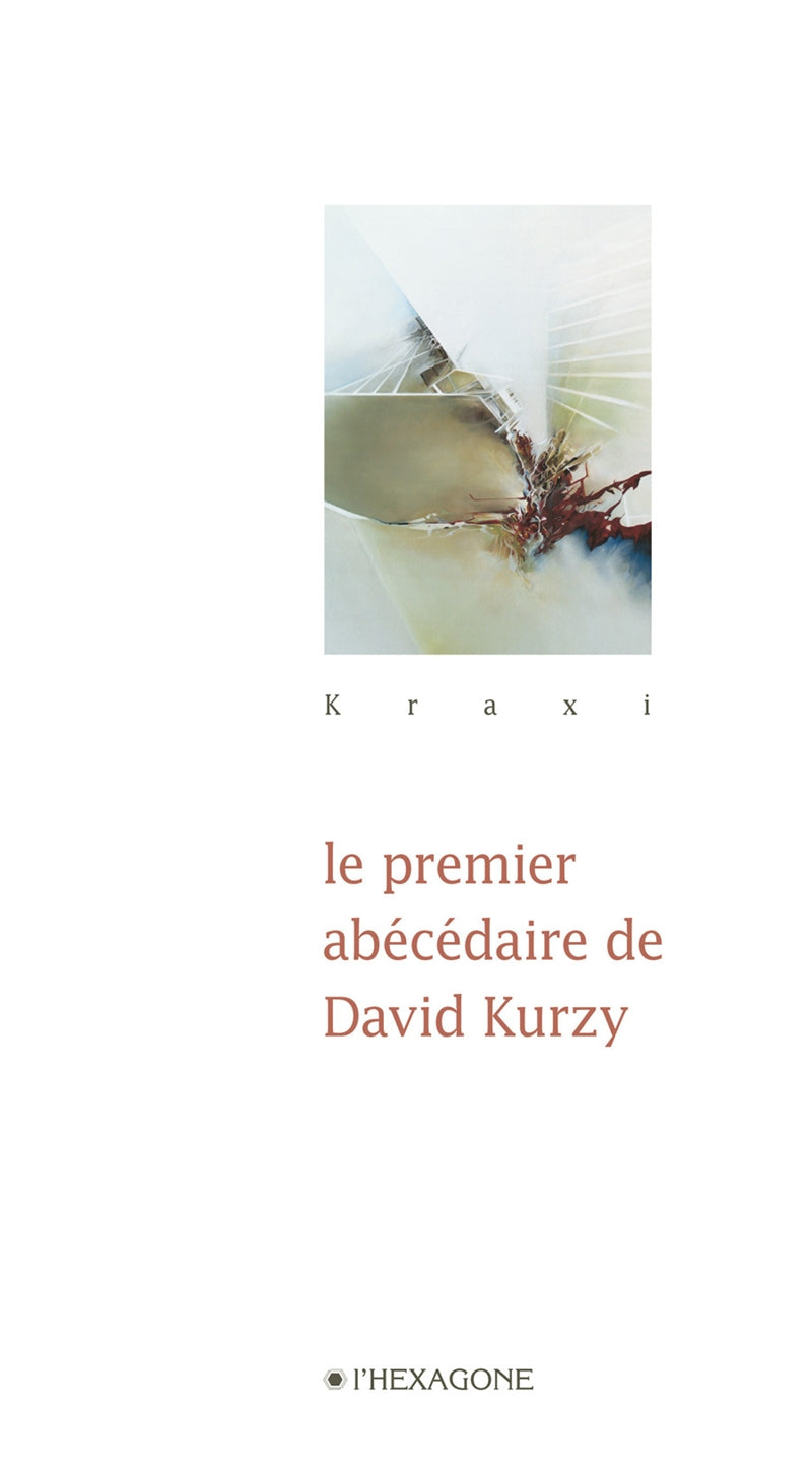 Couverture du livre de Le premier abécédaire de David Kurzy - papier format