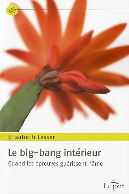 Couverture du livre de Le big-bang intérieur : quand les épreuves guérissent l'âme - papier format