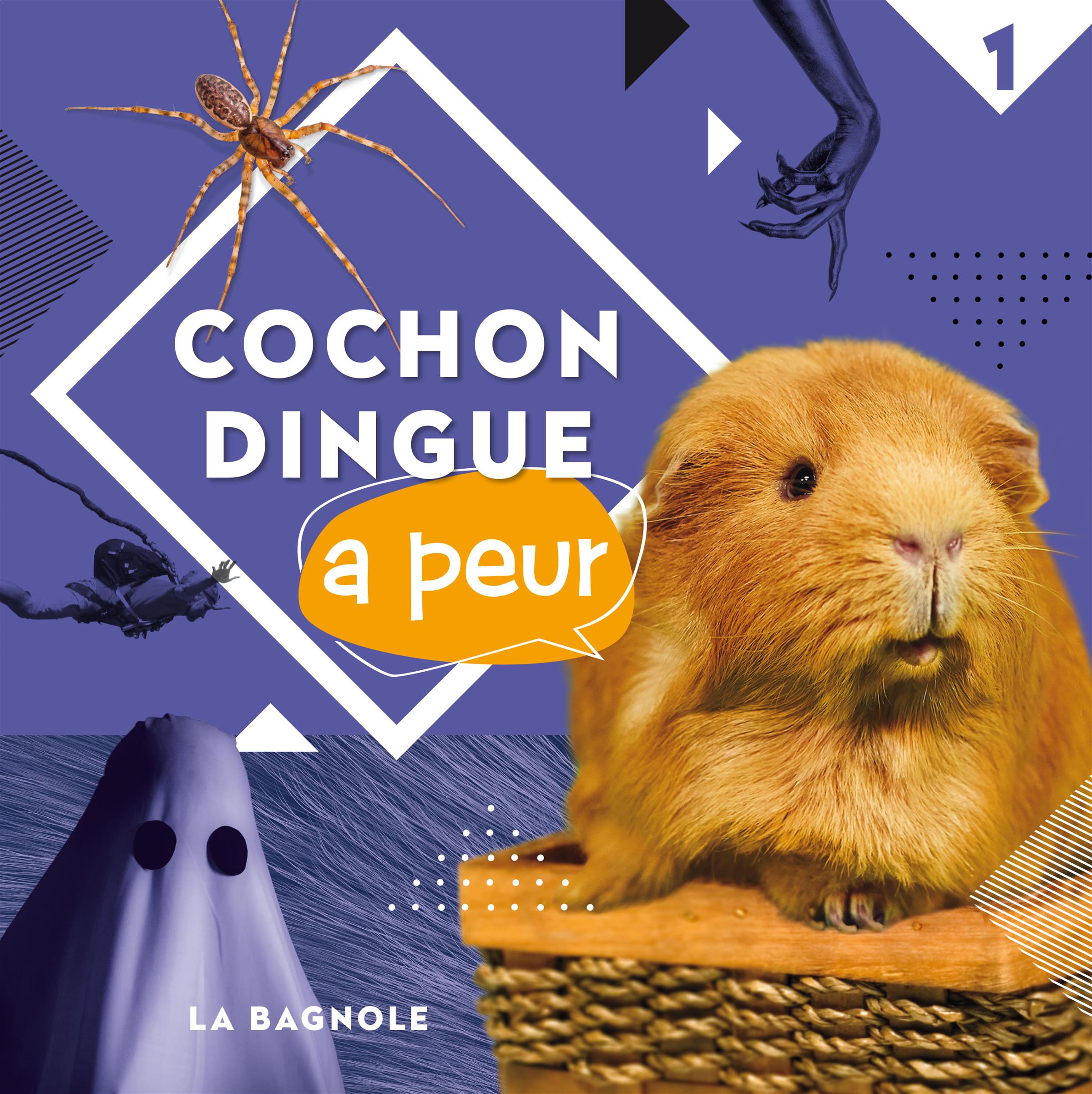 Couverture du livre de Cochon Dingue a peur - papier format