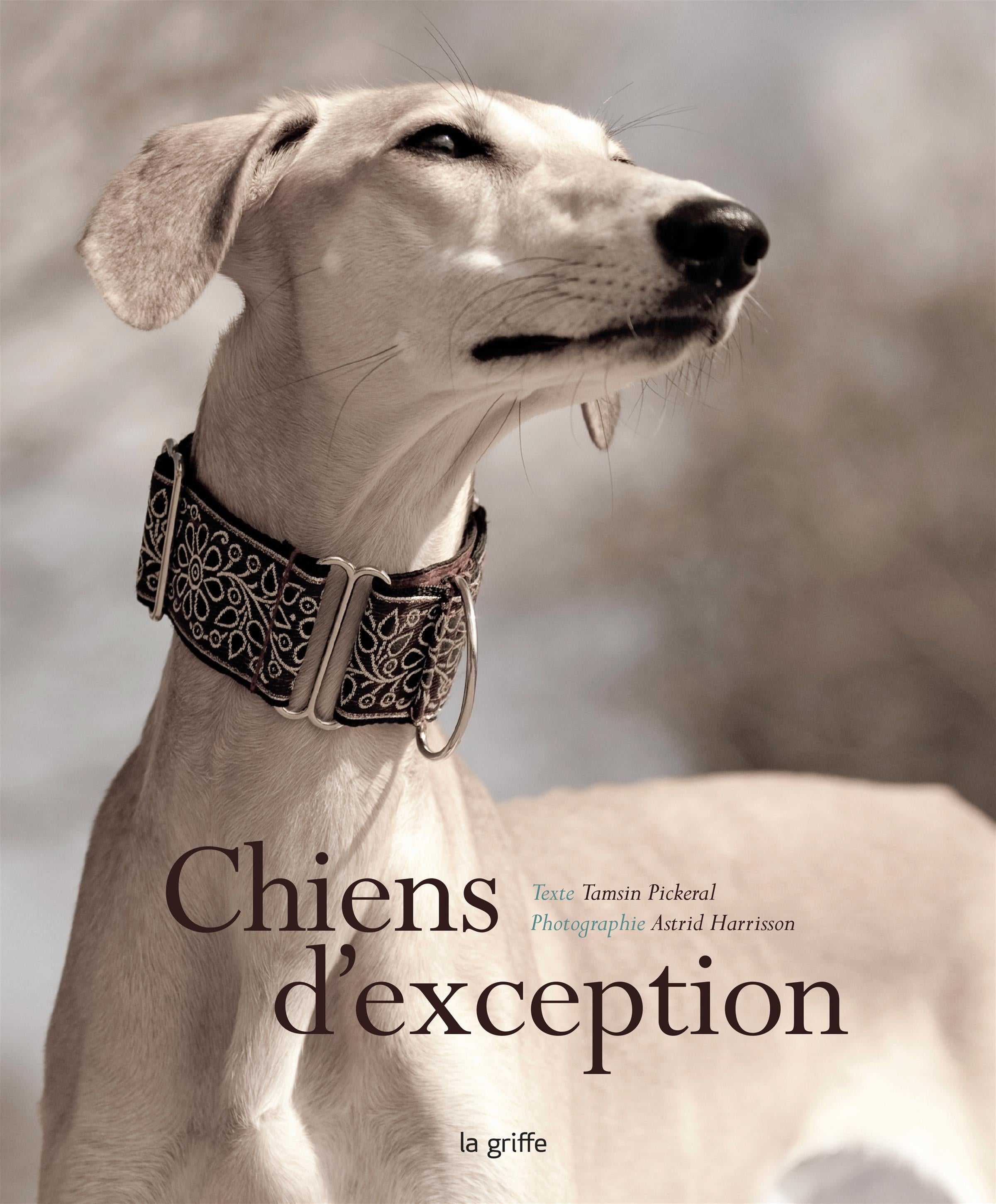 Couverture du livre de Chiens d'exception - papier format