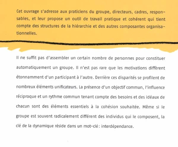 Couverture du livre de Dynamique des groupes - papier format