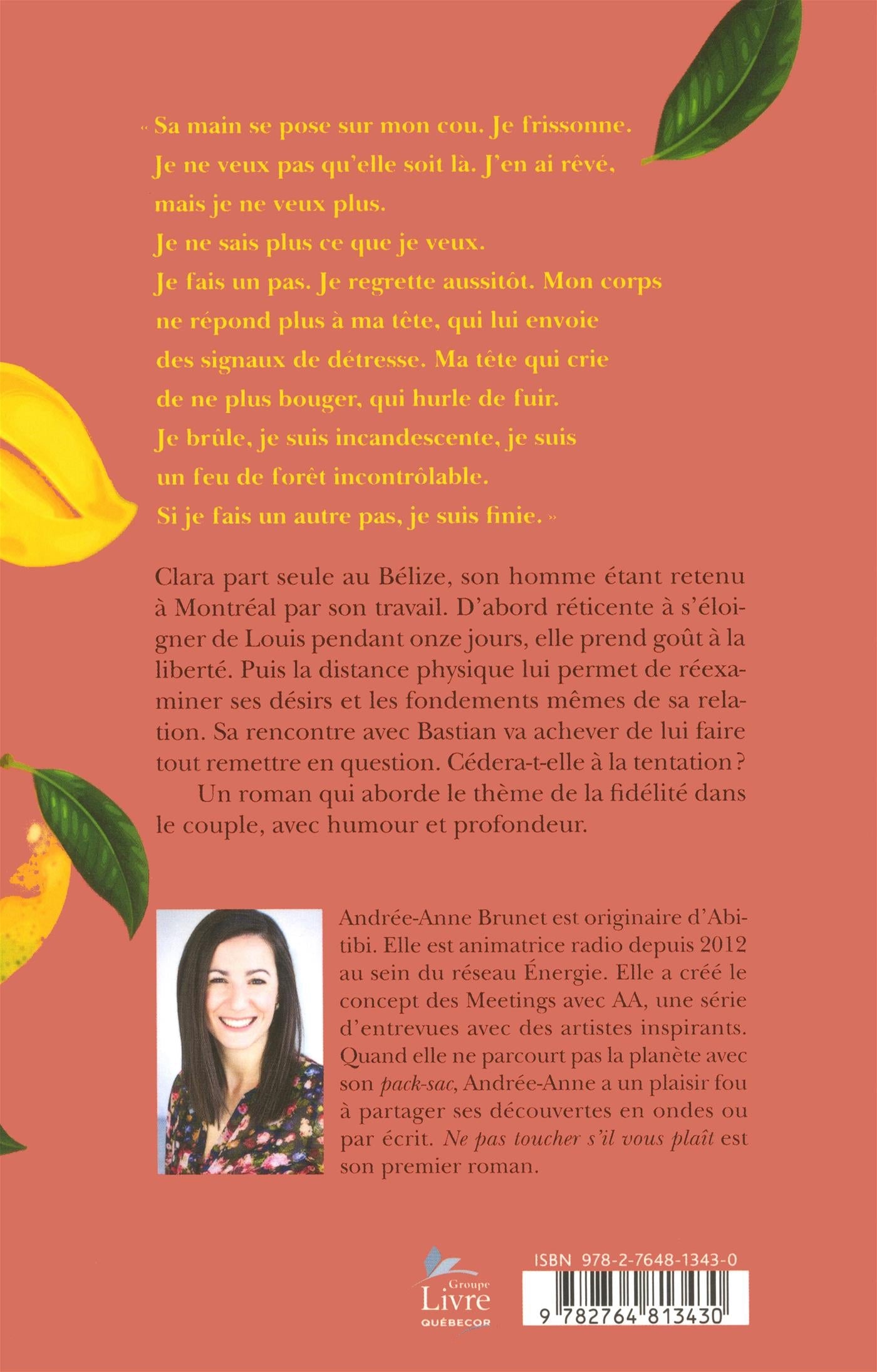 Couverture du livre de Ne pas toucher s'il vous plaît - papier format