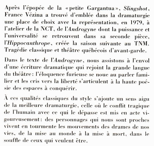 Couverture du livre de L'androgyne - papier format