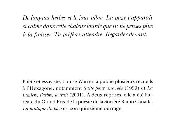 Couverture du livre de La pratique du bleu - papier format