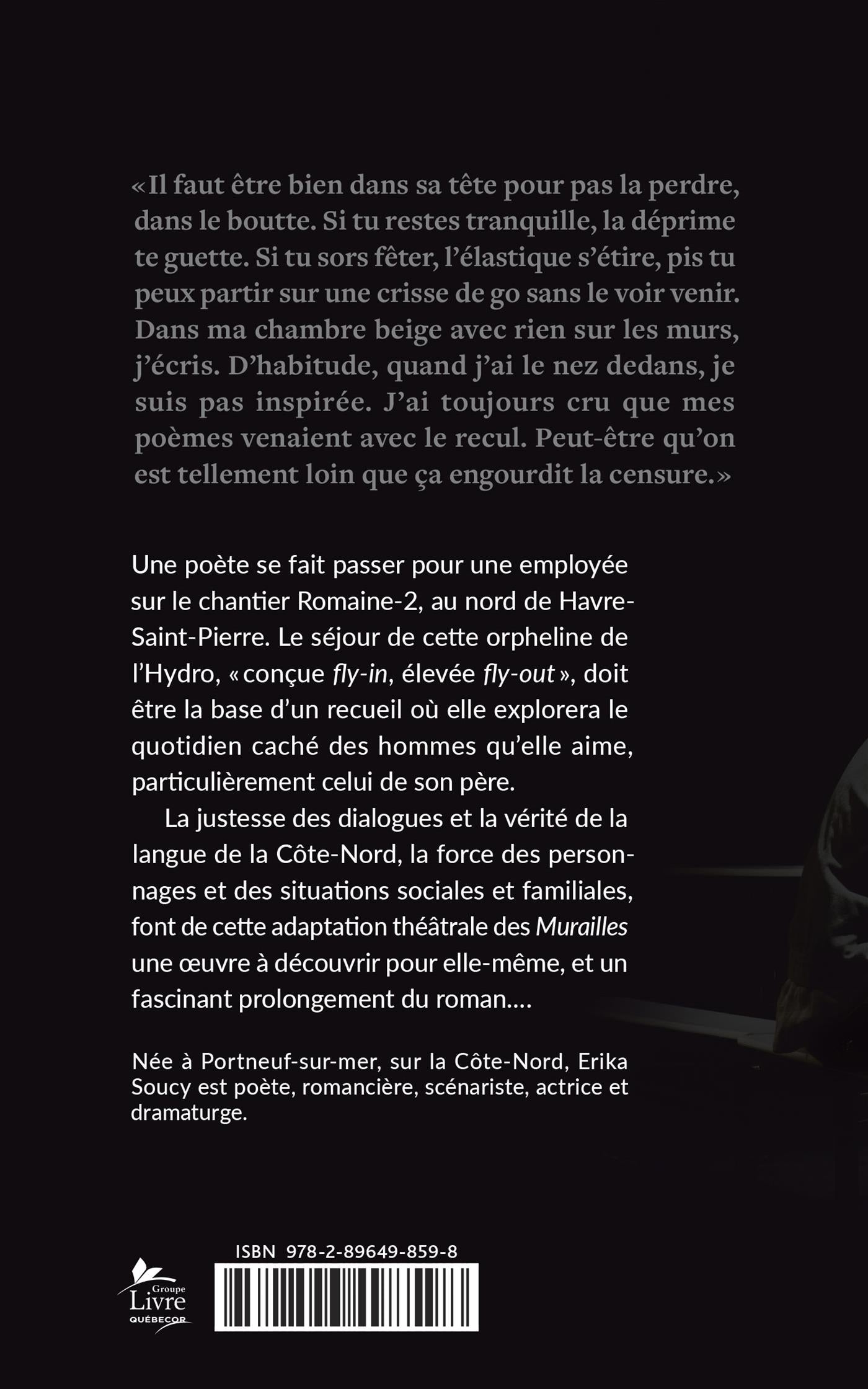 Couverture du livre de Les murailles - papier format