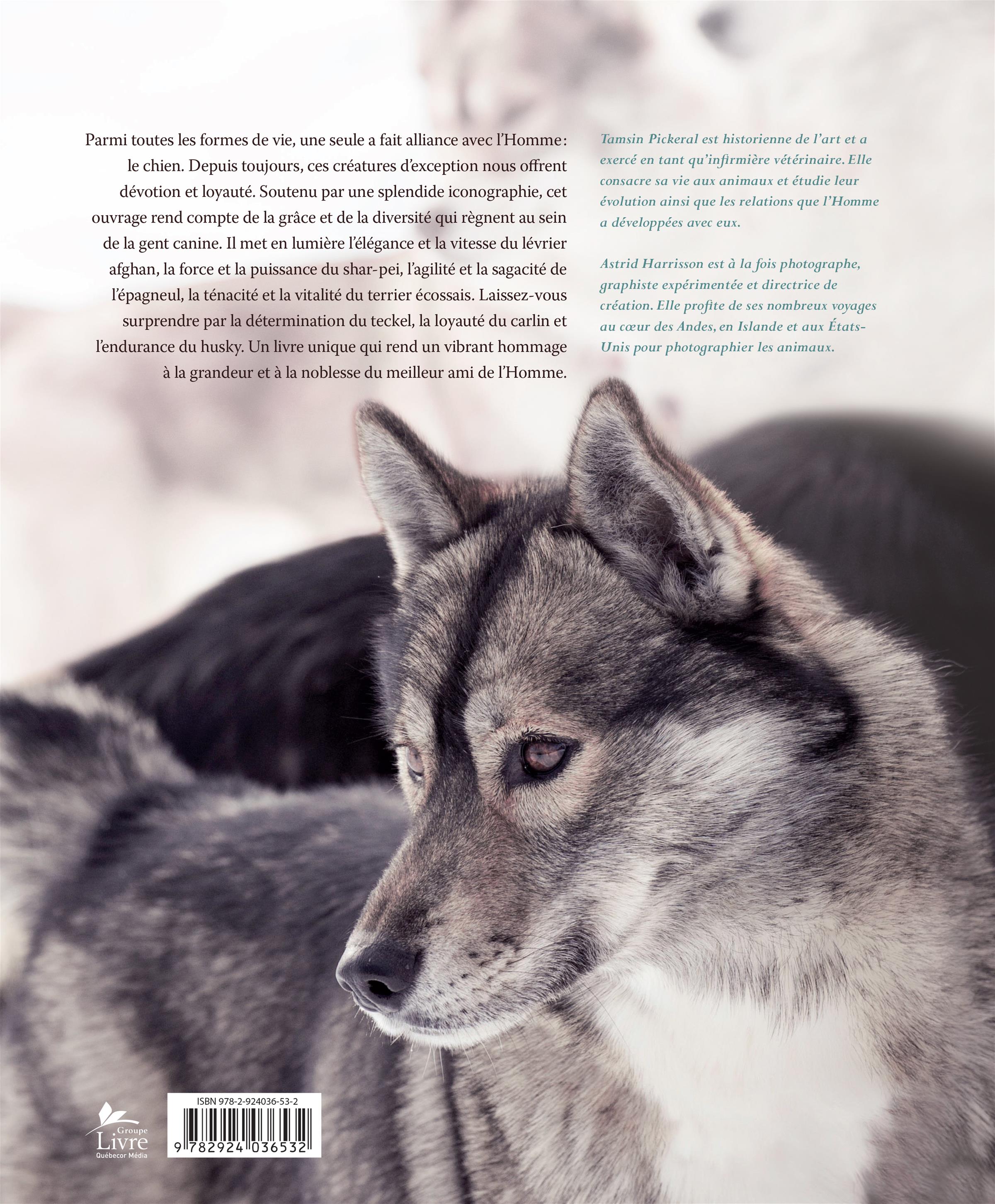 Couverture du livre de Chiens d'exception - papier format