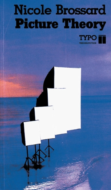 Couverture du livre de Picture theory - papier format