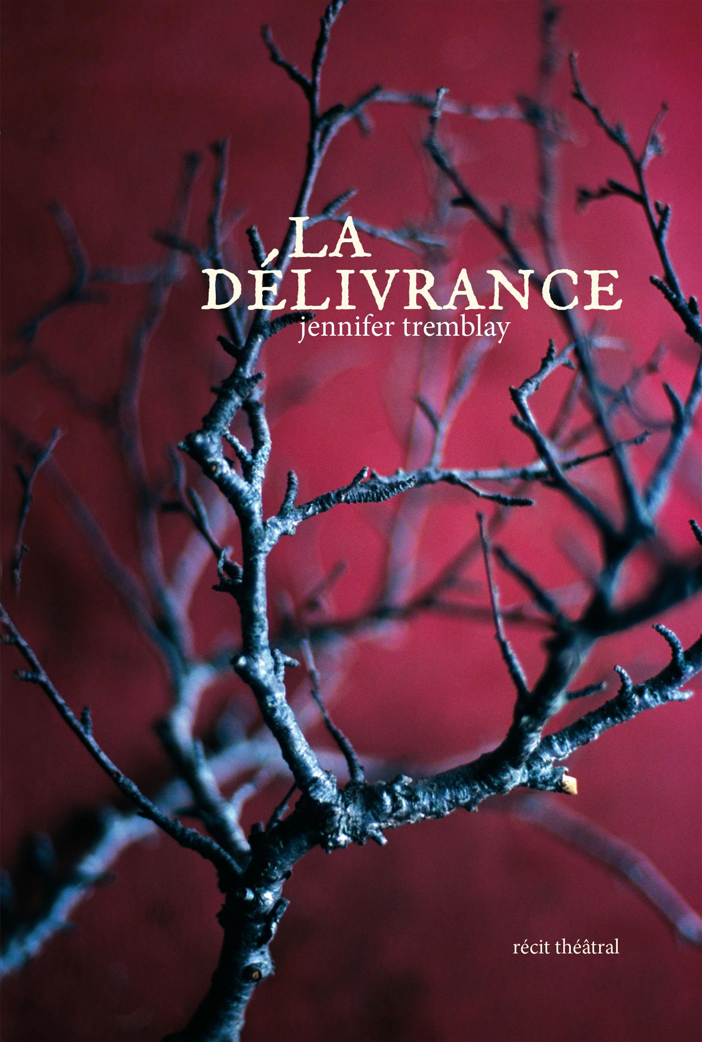 Couverture du livre de La délivrance - papier format