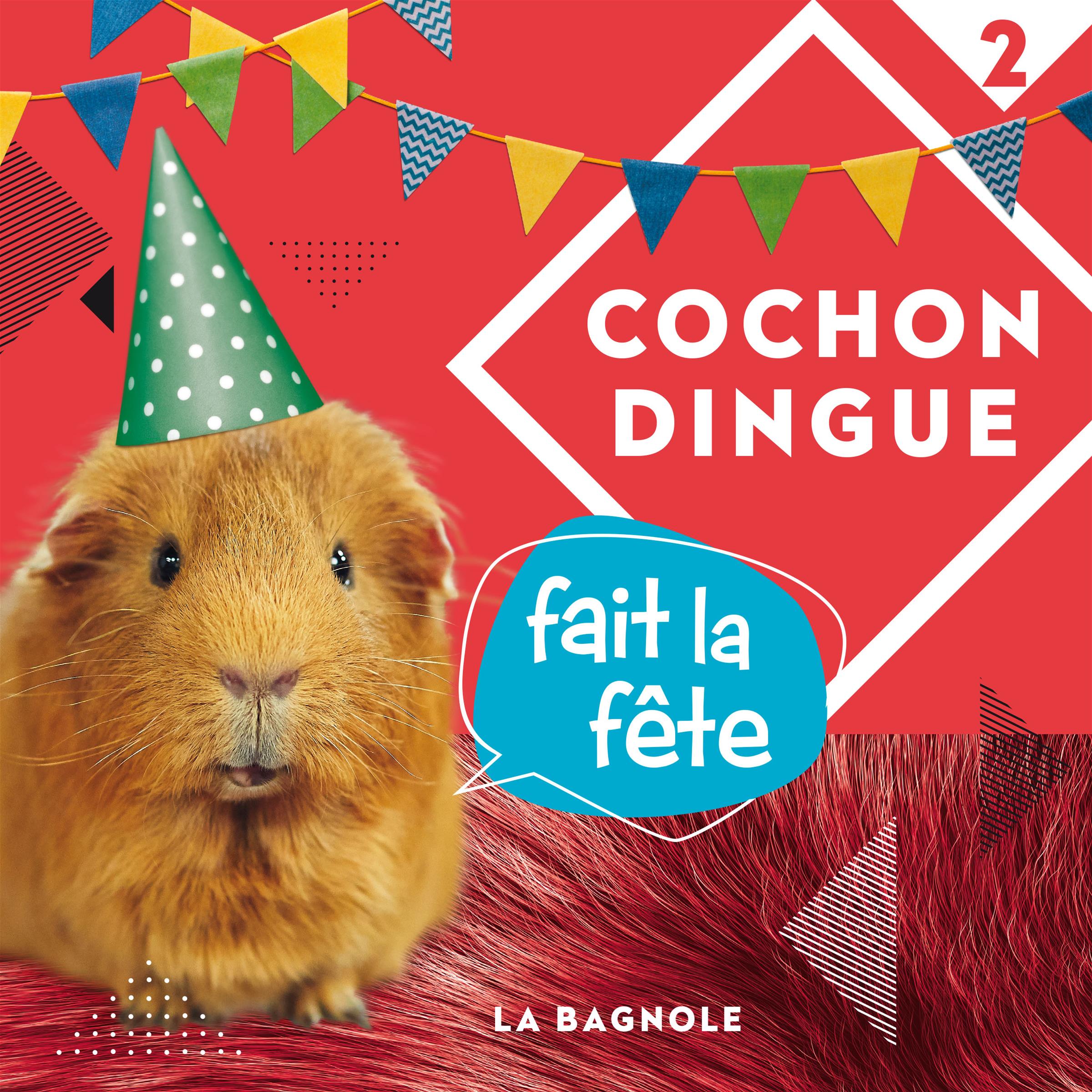 Couverture du livre de Cochon Dingue fait la fête - papier format