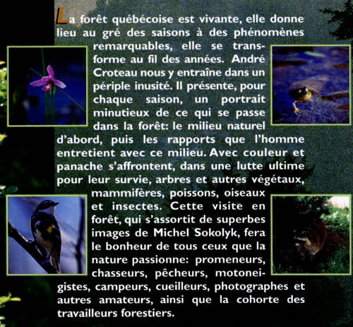 Couverture du livre de Guide de la forêt québécoise saison par saison - papier format